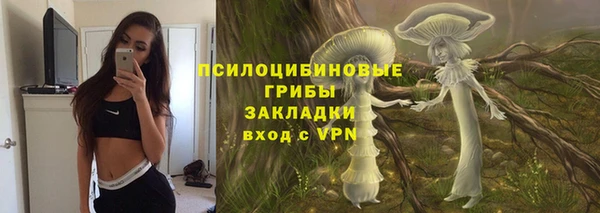 PSILOCYBIN Аркадак