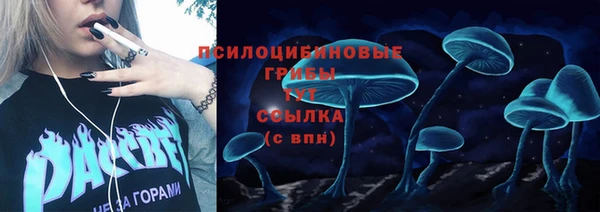 меф Арсеньев