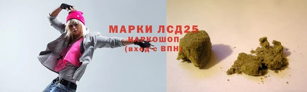 кокс Баксан