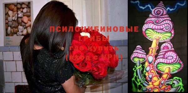 меф Арсеньев