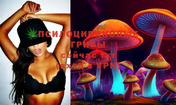меф Арсеньев